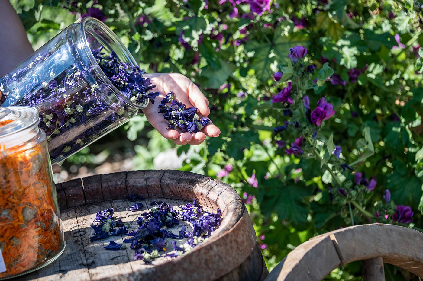 Aberlehof Urlaub Bauernhof Pustertal 01