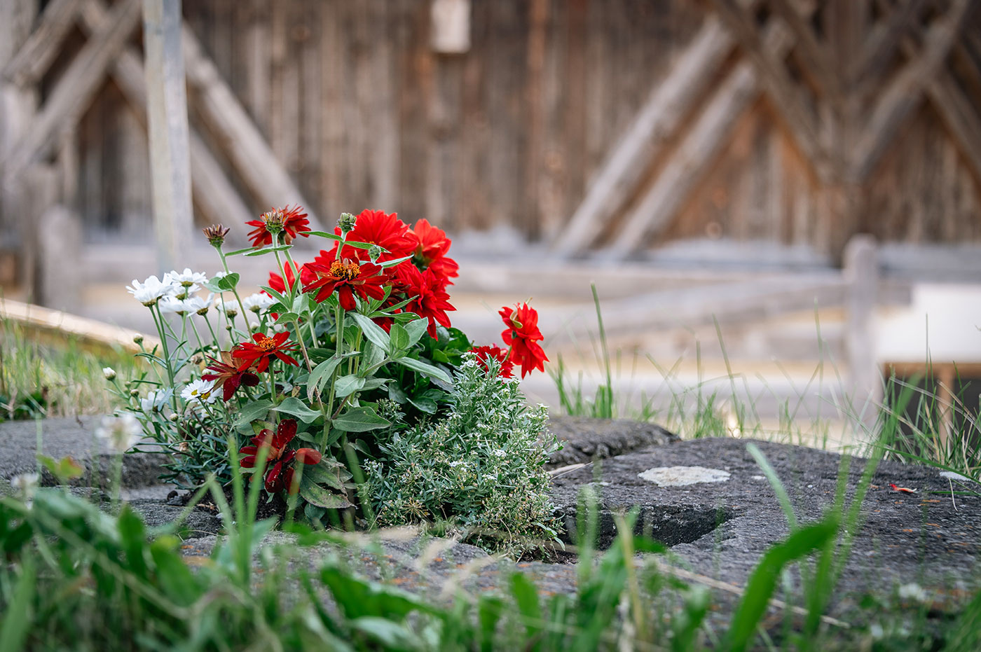 Aberlehof Urlaub Bauernhof Pustertal 03